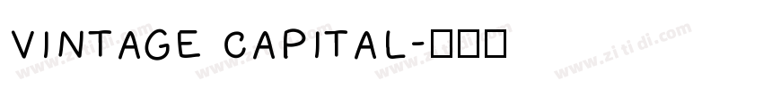 vintage capital字体转换